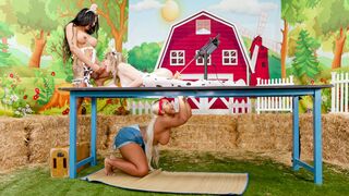 Chubby ebony milkmaid ravaged by trannies