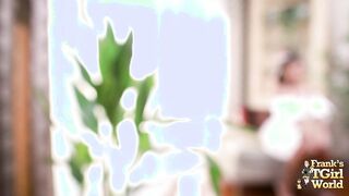 FRANKS TGIRLWORLD: SWEETIE PIE!