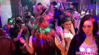 Party girls in stockings are naturals at sucking cock