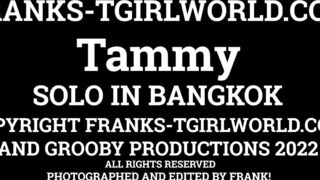 FRANK'S TGIRL WORLD: Tammy Gets Horny