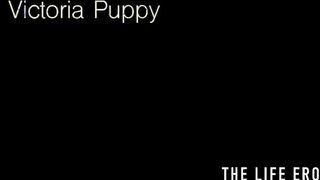 Victoria Puppy rams her cunt with a big cucumber