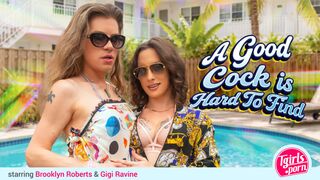 TGIRLS.PORN - A Good Shaft, Is Hard To Find